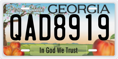 GA license plate QAD8919