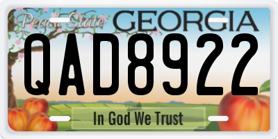 GA license plate QAD8922