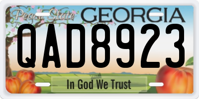 GA license plate QAD8923