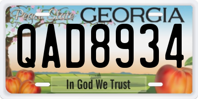 GA license plate QAD8934
