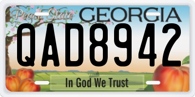 GA license plate QAD8942