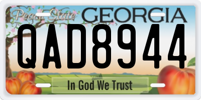 GA license plate QAD8944