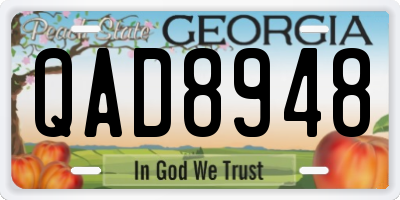 GA license plate QAD8948