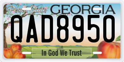 GA license plate QAD8950