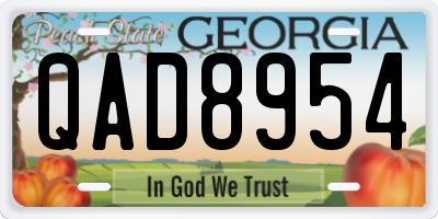 GA license plate QAD8954