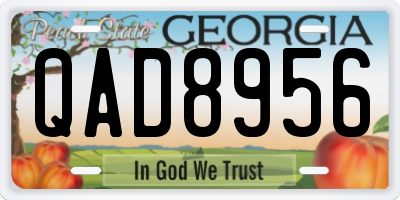 GA license plate QAD8956