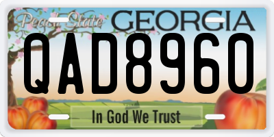 GA license plate QAD8960