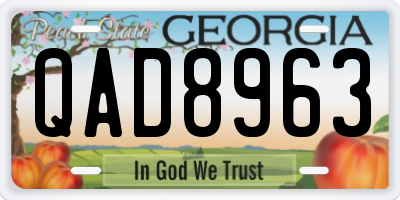 GA license plate QAD8963