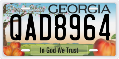 GA license plate QAD8964