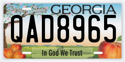 GA license plate QAD8965