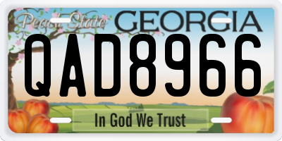 GA license plate QAD8966