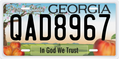 GA license plate QAD8967