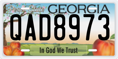 GA license plate QAD8973