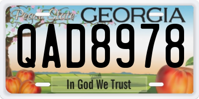 GA license plate QAD8978