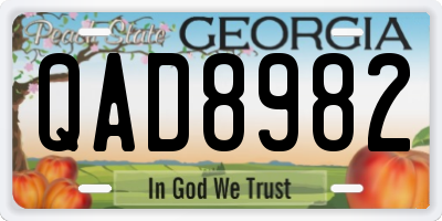 GA license plate QAD8982