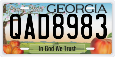 GA license plate QAD8983
