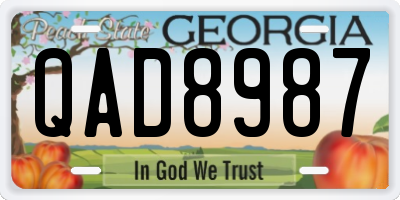 GA license plate QAD8987