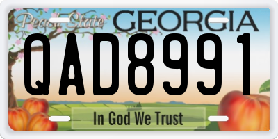 GA license plate QAD8991