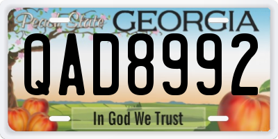 GA license plate QAD8992