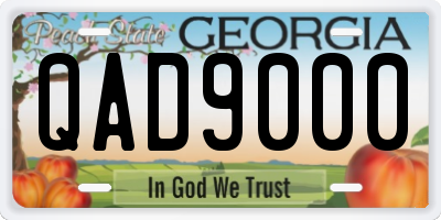 GA license plate QAD9000