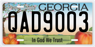 GA license plate QAD9003