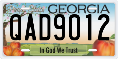 GA license plate QAD9012