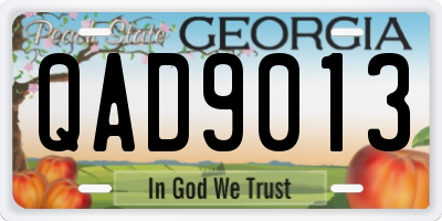 GA license plate QAD9013