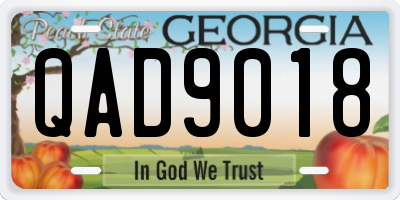 GA license plate QAD9018