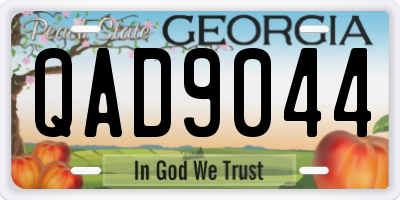 GA license plate QAD9044