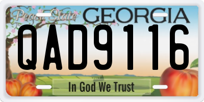 GA license plate QAD9116