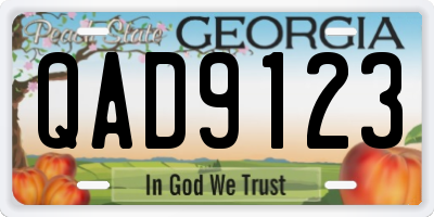 GA license plate QAD9123