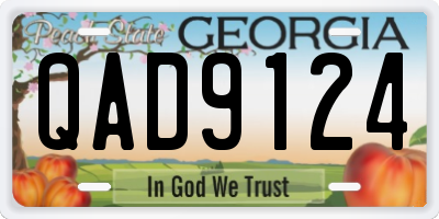 GA license plate QAD9124
