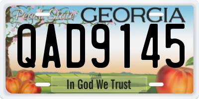 GA license plate QAD9145