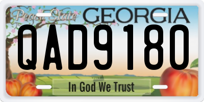 GA license plate QAD9180