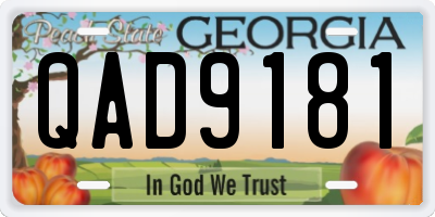GA license plate QAD9181
