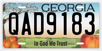GA license plate QAD9183