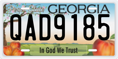 GA license plate QAD9185