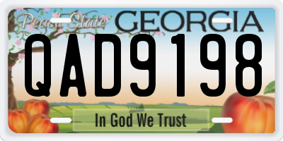 GA license plate QAD9198