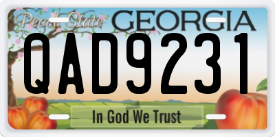 GA license plate QAD9231