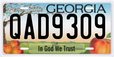 GA license plate QAD9309