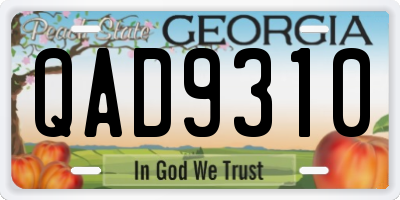 GA license plate QAD9310