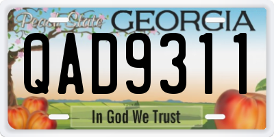 GA license plate QAD9311