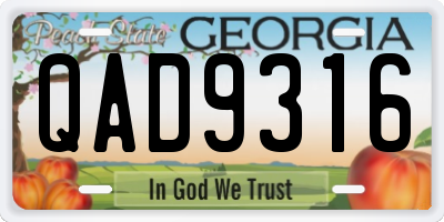 GA license plate QAD9316