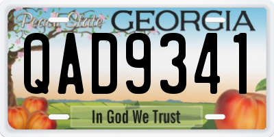 GA license plate QAD9341