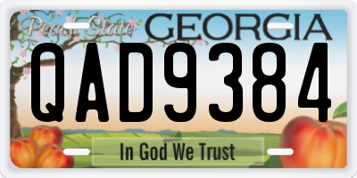 GA license plate QAD9384