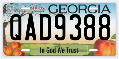 GA license plate QAD9388