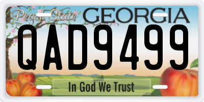 GA license plate QAD9499