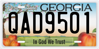 GA license plate QAD9501