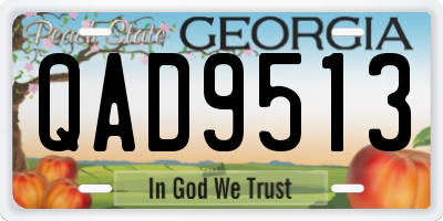 GA license plate QAD9513