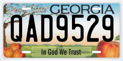 GA license plate QAD9529